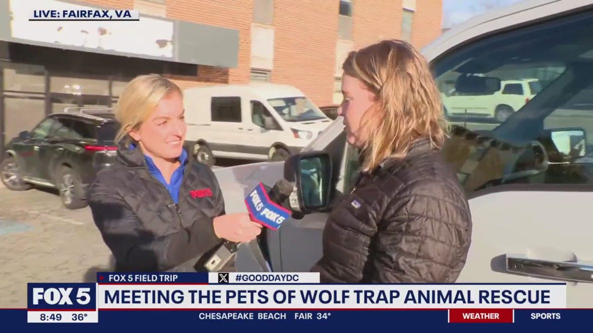 Wolf Trap Animal Rescue talk about fostering pets in need of homes